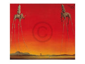 Salvador Dali  Les Elephants affiche art 80x60cm | yourdeclineoration.com