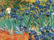 Vincent Van Gogh  Iris affiche art 80x60cm | yourdeclineoration.com
