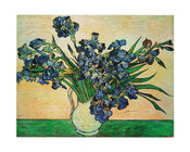 Vincent Van Gogh  Iris Strauss, 1890 affiche art 50x40cm | yourdeclineoration.com