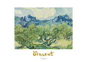 Vincent Van Gogh  Landscapes with olive trees affiche art 70x50cm | yourdeclineoration.com