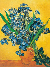Vincent Van Gogh  Les iris affiche art 60x80cm | yourdeclineoration.com
