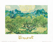 Vincent Van Gogh  Landscapes with olive trees affiche art 30x24cm | yourdeclineoration.com