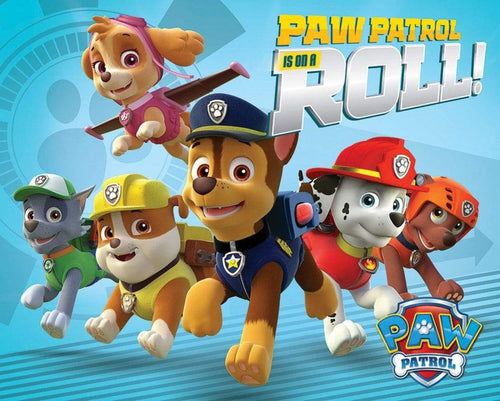 Pyramid Paw Patrol On a Roll Affiche 50x40cm | yourdeclineoration.com