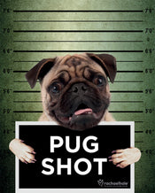 Pyramid Rachael Hale Pug Shot Banjo Affiche 40x50cm | yourdeclineoration.com