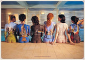 Pyramid Pink Floyd Back Catalogue Affiche 91,5x61cm | yourdeclineoration.com