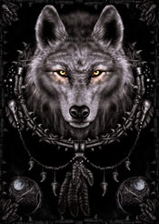 Pyramid Spiral Wolf Dreams Affiche 61x91,5cm | yourdeclineoration.com