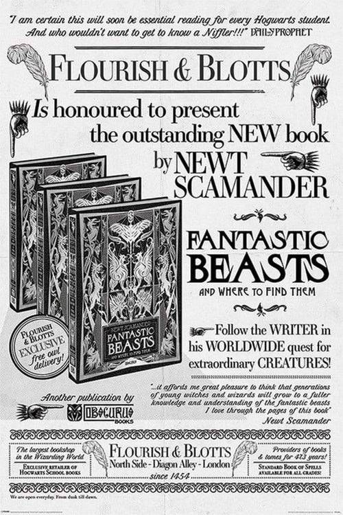 Pyramid Fantastic Beasts the Crimes of Grindelwald Flourish and Blotts Affiche 61x91,5cm | yourdeclineoration.com