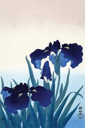 Pyramid Ohara Koson Iris Flowers Affiche 61x91,5cm | yourdeclineoration.com