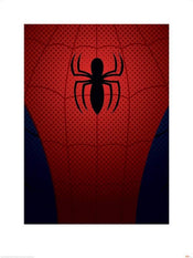 Pyramid Ultimate Spider Man Spider Man Torso affiche art 60x80cm | yourdeclineoration.com
