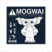 Pyramid Gremlins Mogwai Rules affiche art 40x40cm | yourdeclineoration.com