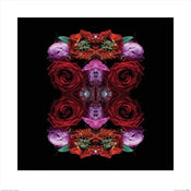 Pyramid Alyson Fennell Paradise of Petals affiche art 60x60cm | yourdeclineoration.com
