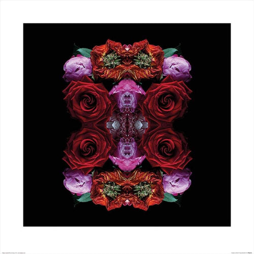 Pyramid Alyson Fennell Paradise of Petals affiche art 60x60cm | yourdeclineoration.com