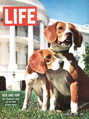 pyramid ppr54150 time life beagles affiche art 30x40cm | yourdeclineoration.com