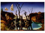 Salvador Dali  Reflections of Elephants affiche art 80x60cm | yourdeclineoration.com