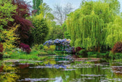 Wizard+Genius Monets Garden in France Papier Peint Intissé 384x260cm 8 bandes | yourdeclineoration.com