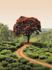 Wizard+Genius Red Tree And Hills In Sri Lanka Papier Peint Intissé 192x260cm 4 bandes | yourdeclineoration.com