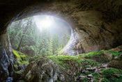 Wizard+Genius Cave In The Forest Papier Peint Intissé 384x260cm 8 bandes | yourdeclineoration.com