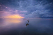 Wizard+Genius Wetland Sunrise Papier Peint Intissé 384x260cm 8 bandes | yourdeclineoration.com