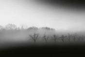 Wizard+Genius Foggy Landscape Papier Peint Intissé 384x260cm 8 bandes | yourdeclineoration.com