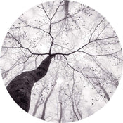 Wizard+Genius Inside the Trees Papier Peint Intissé 140x140cm rond | yourdeclineoration.com