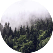 Wizard+Genius Foggy Forest Papier Peint Intissé 140x140cm rond | yourdeclineoration.com