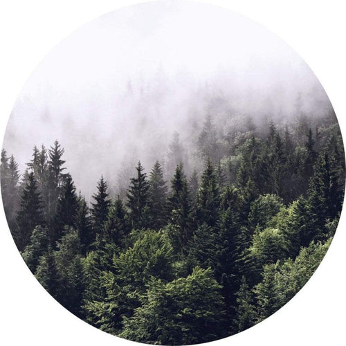 Wizard+Genius Foggy Forest Papier Peint Intissé 140x140cm rond | yourdeclineoration.com