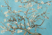 Wizard+Genius van Gogh Almond Blossom Papier Peint Intissé 384x260cm 8 bandes | yourdeclineoration.com