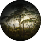 Wizard+Genius Umbrella Pines Papier Peint Intissé 140x140cm rond | yourdeclineoration.com