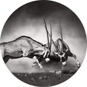 Wizard+Genius The Duel Papier Peint Intissé 140x140cm rond | yourdeclineoration.com