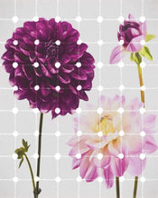 Komar Flowers and Dots Papier Peint Intissé 200x250cm 2 bandes | yourdeclineoration.com