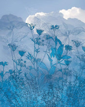 Komar Blue Sky Papier Peint Intissé 200x250cm 2 bandes | yourdeclineoration.com