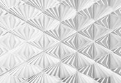 Komar Delta Papier Peint 368x254cm | yourdeclineoration.com