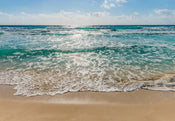 Komar Seaside Papier Peint 368x254cm | yourdeclineoration.com
