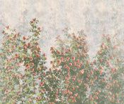 Komar Wall Roses Intisse Papier Peint 300x250cm 6 bandes | yourdeclineoration.com