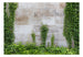 Papier Peint - The Forgotten Garden - Intissé