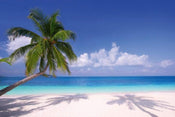Dimex Beach Papier Peint 375x250cm 5 bandes | yourdeclineoration.com