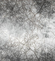 Dimex Branch Abstract Papier Peint 225x250cm 3 bandes | yourdeclineoration.com