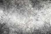 Dimex Branch Abstract Papier Peint 375x250cm 5 bandes | yourdeclineoration.com