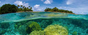 Dimex Coral Reef Papier Peint 375x150cm 5 bandes | yourdeclineoration.com
