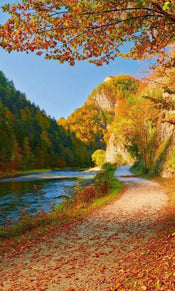 Dimex Dunajec River Papier Peint 150x250cm 2 bandes | yourdeclineoration.com