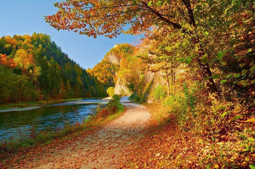 Dimex Dunajec River Papier Peint 375x250cm 5 bandes | yourdeclineoration.com