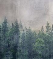 Dimex Forest Abstract Papier Peint 225x250cm 3 bandes | yourdeclineoration.com
