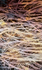 Dimex Hay Abstract I Papier Peint 150x250cm 2 bandes | yourdeclineoration.com