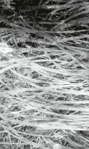 Dimex Hay Abstract II Papier Peint 150x250cm 2 bandes | yourdeclineoration.com