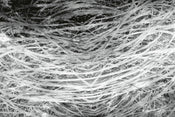 Dimex Hay Abstract II Papier Peint 375x250cm 5 bandes | yourdeclineoration.com