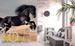 Dimex Horse Papier Peint 225x250cm 3 bandes ambiance | yourdeclineoration.com
