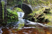 Dimex Ireland Papier Peint 375x250cm 5 bandes | yourdeclineoration.com