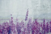 Dimex Lavender Abstract Papier Peint 375x250cm 5 bandes | yourdeclineoration.com