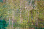 Dimex Leaves Abstract Papier Peint 375x250cm 5 bandes | yourdeclineoration.com