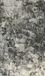 Dimex Nature Gray Abstract Papier Peint 150x250cm 2 bandes | yourdeclineoration.com